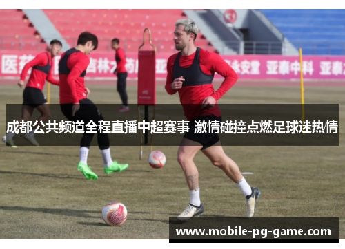 成都公共频道全程直播中超赛事 激情碰撞点燃足球迷热情
