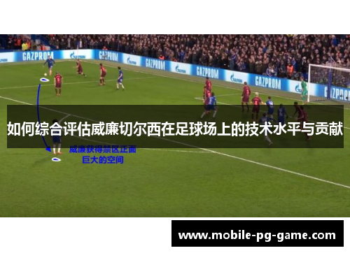 如何综合评估威廉切尔西在足球场上的技术水平与贡献