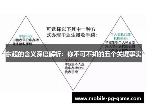 东超的含义深度解析：你不可不知的五个关键事实
