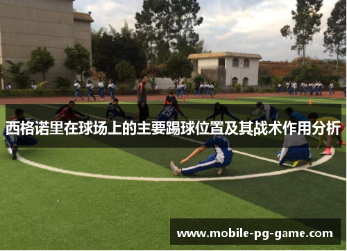 西格诺里在球场上的主要踢球位置及其战术作用分析