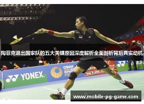 陶菲克退出国家队的五大关键原因深度解析全面剖析背后真实动机