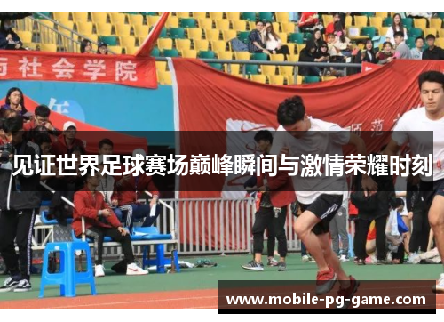 见证世界足球赛场巅峰瞬间与激情荣耀时刻